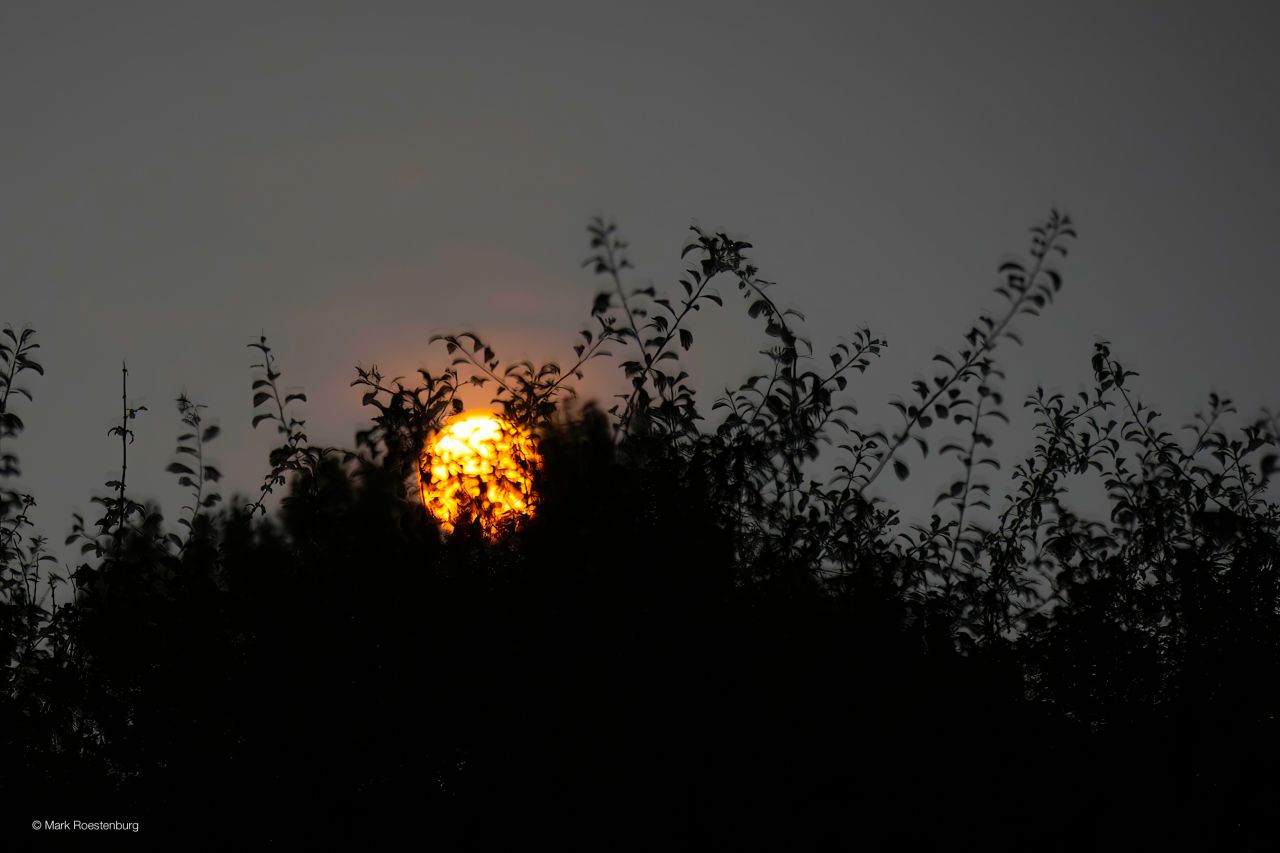 Vollemaan