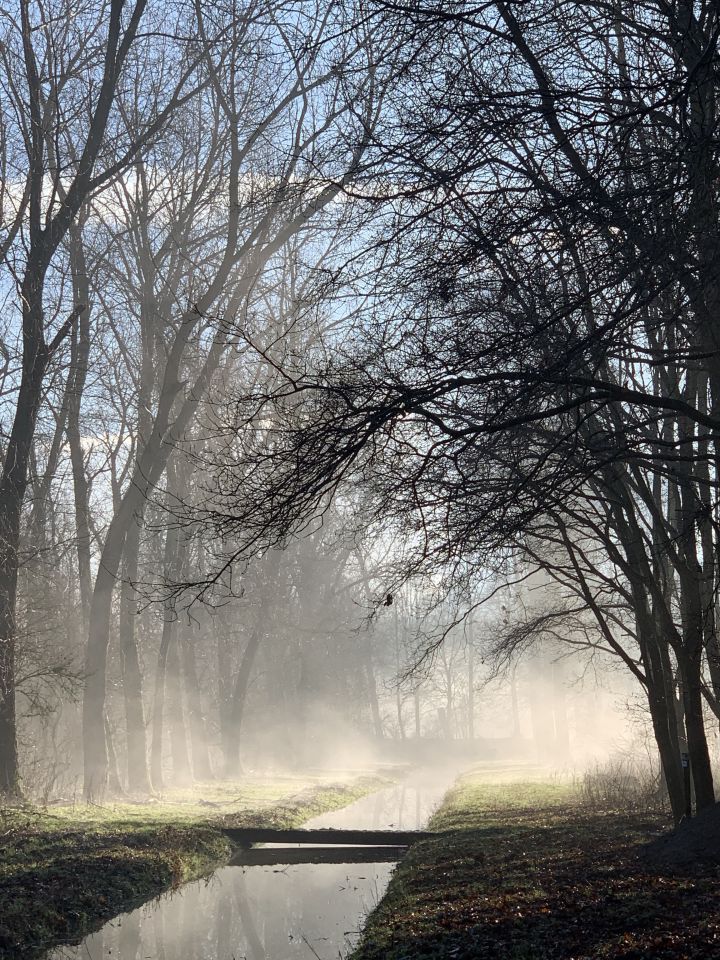 Bomen en knoppenwandeling