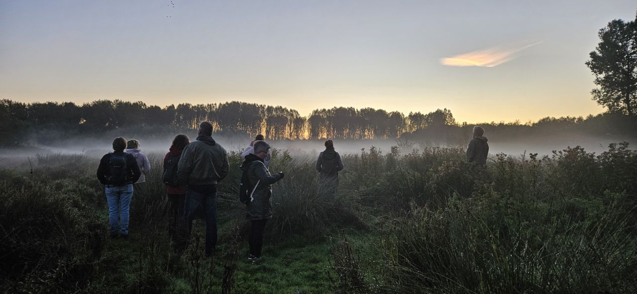 Stiltewandeling